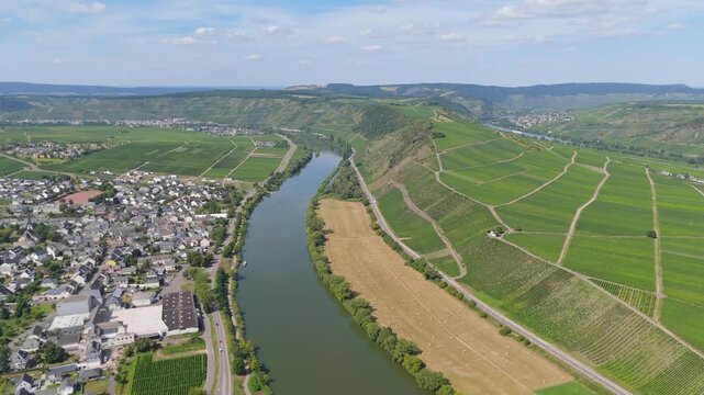 Leiwen, Moselle Valley with loop of Mosel river, aerial view, riesling wine growing on vine, vineyard landscape and agriculture in Germany