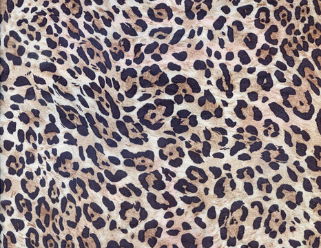 Luxury leopard background. Wild tiger pattern. Pantera animal print. Cheetah print. Snow leopard fur.