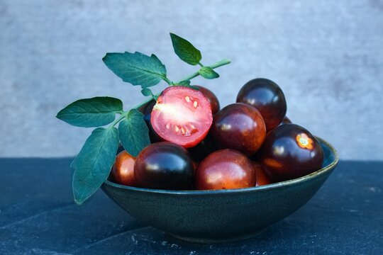 Black tomatoes of Indigo Rose in a bowl on the stone table. This natural form is rich in anthocyanin in black peel and good for our health.