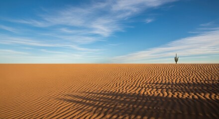 Desert landscape with sand dunes under a bright blue sky and a single plant.