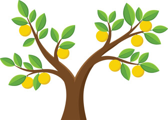 Fruit tree vector illustration, green leaves, yellow fruits, nature design artwork, agricultural concept, educational material, botanical drawing, stylized cartoon