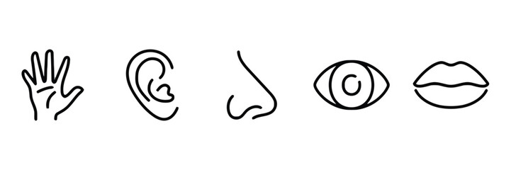 The five senses icons including hand, ear, nose, eye, and lips for perception