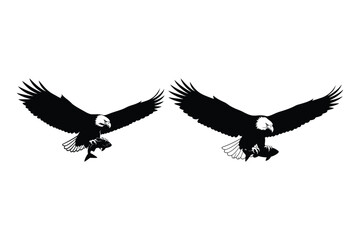 Fototapeta premium Eagle Carrying Fish Silhouettes - Predatory Bird
