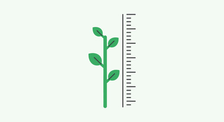 Plant Growth Ruler