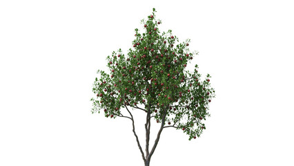 A serene lakeside landscape with trees and a boat