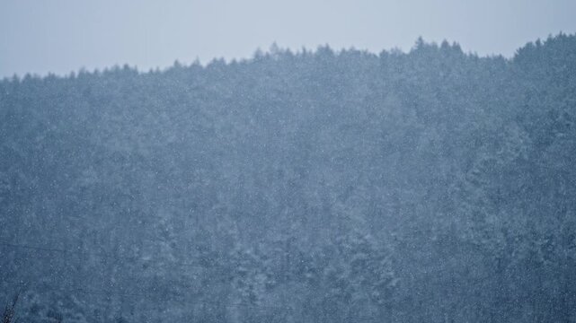Falling really hard snowfall on mountains and forest background. Winter, cold weather, snow-fall. Romantic wonderland. Magic landscape, beautiful Christmas.