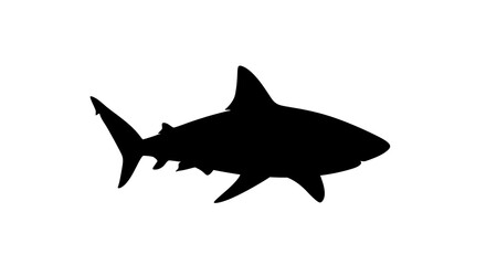 Fototapeta premium Black silhouette of a shark swimming.
