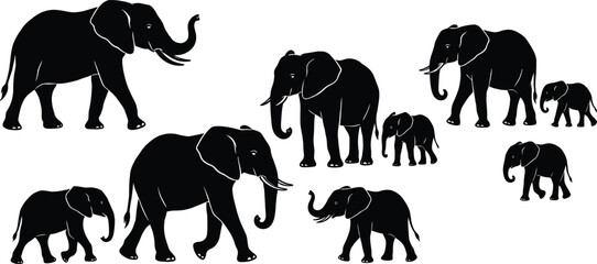 Vector set of black elephant silhouettes, african wildlife animal family with baby calves collection isolated on white for safari nature zoo design © Jesmin