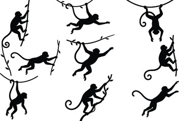 Vector set of black monkey silhouettes, primate animal collection swinging on jungle vines isolated on white for wild nature tropical forest design elements © Jesmin