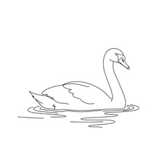 Fototapeta premium Elegant swan gracefully gliding on calm water, minimalist line art.