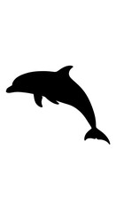 Obraz premium Black silhouette of a dolphin jumping.