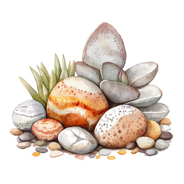 Lithops, watercolor illustration featuring soft shadows and luminous, isolated on a white background.