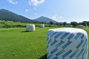 ひるぜんジャージーランド　岡山　牧場　牧草 © 頼朝