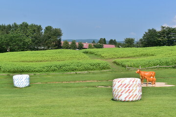 ひるぜんジャージーランド　岡山　牧場　牧草 © 頼朝