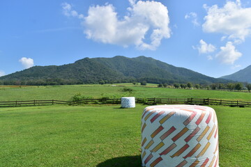 ひるぜんジャージーランド　岡山　牧場　牧草 © 頼朝