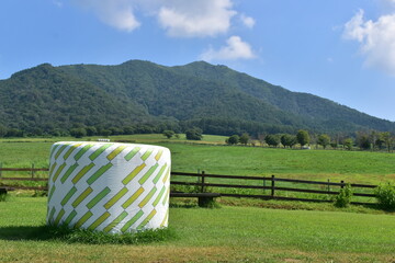 ひるぜんジャージーランド　岡山　牧場　牧草 © 頼朝