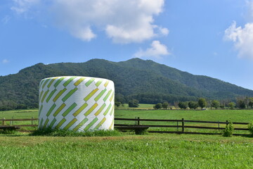 ひるぜんジャージーランド　岡山　牧場　牧草 © 頼朝