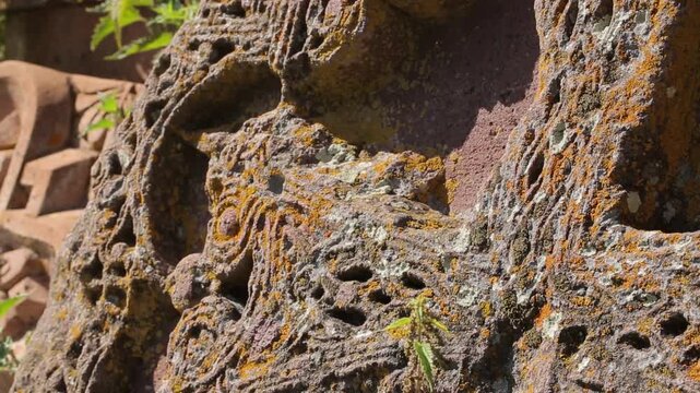 Close up view of an ancient Armenian khachkar cross stone. The porous textured rock surface features intricate carvings and is covered with orange lichen and tiny green plants.

