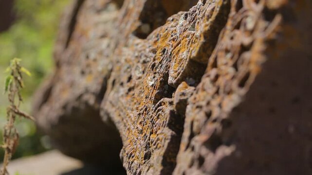 Close up view of an ancient Armenian khachkar cross stone. The porous textured rock surface features intricate carvings and is covered with orange lichen and tiny green plants.

