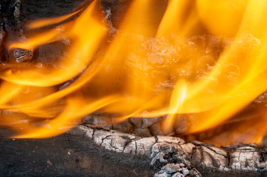 Primer plano de llamas de fuego ardiente sobre troncos de madera carbonizada en una hoguera exterior.