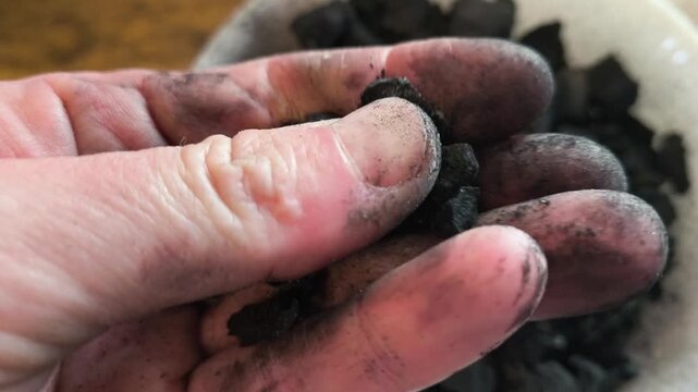 Close-up of a gardener's hands crushing natural charcoal to create biochar for a potting mix. Sustainable soil amendment and permaculture gardening techniques