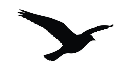 A striking black silhouette of a bird in mid flight wings outstretched capturing a moment of avian grace silhouette © Bsicon02