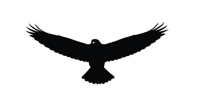 A striking black silhouette of a bird with outstretched wings evoking freedom and flight a dramatic silhouette high quality