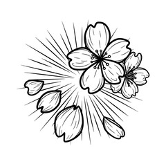 Obraz premium Cherry blossom flowers in black and white with rays of light in sketchy doodle style