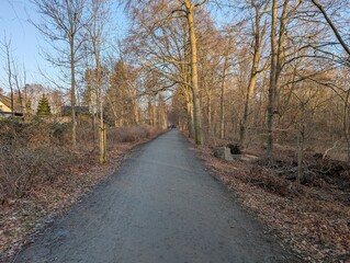 Obraz premium Pfad im Stadtwald Stralsund (Mecklenburg - Vorpommern)