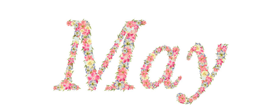 【セット】花で描かれた5月 May の文字素材 ピンクのフラワーレター ボタニカル装飾 透過PNG 高解像度