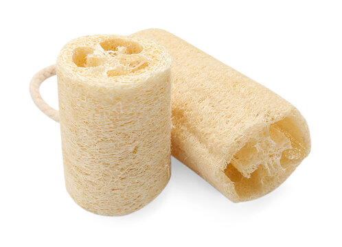 Two natural loofah sponges isolated on white