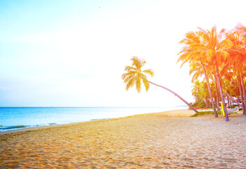 Tropical coastal with coconut palms in background. Coconut palms on a tropical beach at sunset or sunrise. Atmosphere of tranquility and exoticism on Maldives, Costa Rica, or Venezuela.  © MaxSafaniuk