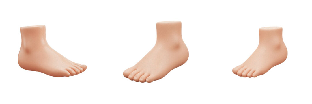 3D Human Foot Model Set - Realistic Anatomy and Podiatry Clipart PNG