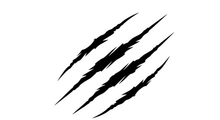 Fototapeta premium Four aggressive black claw marks or monster scratches on a white background, symbolizing attack or damage from a wild creature.