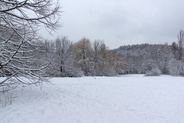 Obraz premium Landscape of South Park in city of Sofia, Bulgaria