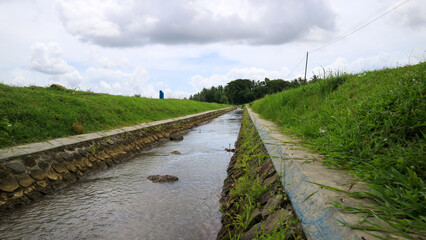 Fototapeta premium irrigation system in tropical agriculture 