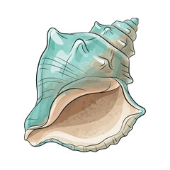 Turquoise Seashell Illustration on White Background, Ocean Life, Nautical Decor © hakim
