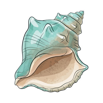 Turquoise Seashell Illustration on White Background, Ocean Life, Nautical Decor