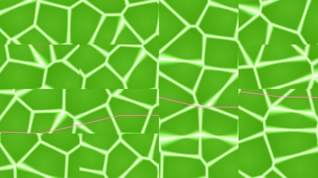 Green cracked pattern background texture