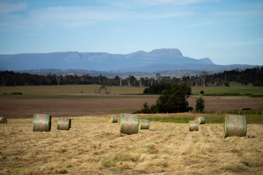 sustainable agriculture Baling hay and silage rolls and bales on a farm