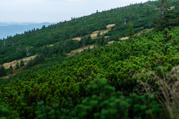 Górska panorama w Polsce © Foto.Szop