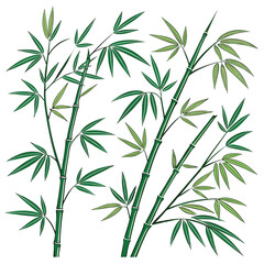 Obraz premium bamboo shoots