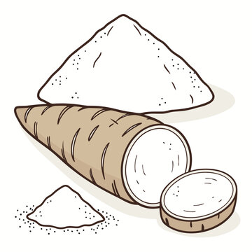 arrowroot