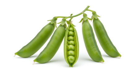 Fresh green pea pods on white background displaying vibrant color showcasing natural texture and healthy vegetable snack for culinary use