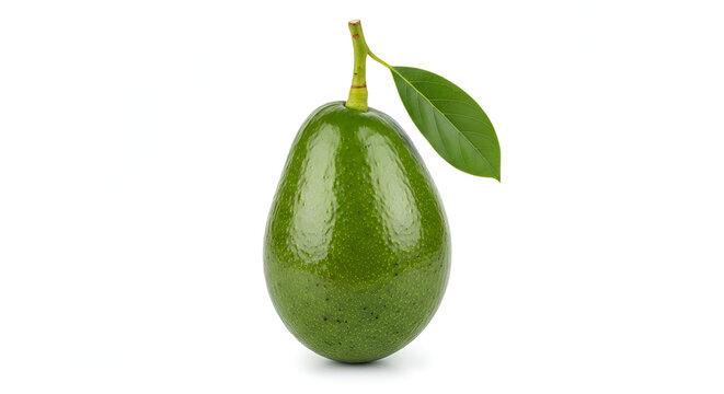 Fresh green avocado with stem and leaf on a seamless white backdrop in studio lighting for ingredient advertising and healthy eating campaigns