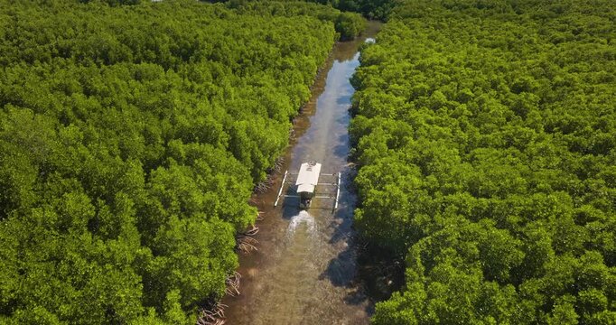 Indonesian outrigger boat gliding through a narrow river channel in lush green mangroves, drone perspective capturing serene tropical nature, travel and remote island vibes Aerial view trekking shot
