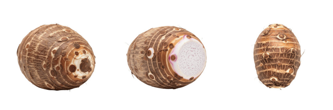 Set and collection of fresh whole and sliced taro roots with textured brown skin for tropical ingredient and culinary concepts isolated on white transparent PNG background