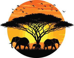 African elephant family silhouette vector at sunset, wild animals walking under acacia tree in savanna landscape with birds in orange sky for safari travel branding. © razia