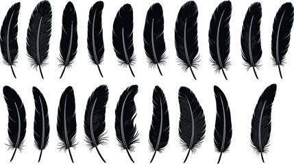 Black feather silhouette vector set with various bird quill shapes and light fluffy plumes for weightless nature branding minimalist ink writing and soft organic design. © razia