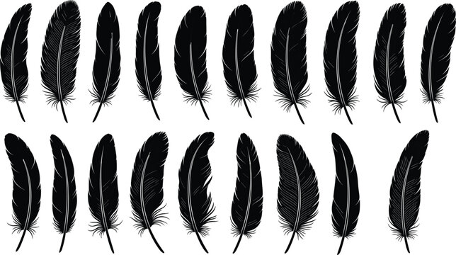Black feather silhouette vector set with various bird quill shapes and light fluffy plumes for weightless nature branding minimalist ink writing and soft organic design.